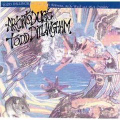 todd dillingham - art into dust CD 1992 voiceprint UK used disc is mint