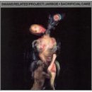 jarboe - sacrificial cake CD 1995 alternative tentacles 16 tracks used like new