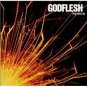 godflesh - hymns CD 2001 koch 13 tracks used mint