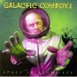 galactic cowboys - space in your face CD 1993 geffen DGC used like new GECD-24524