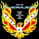 the quadrajets - when the world's on fire CD 1999 estrus used mint
