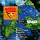 nicola alesimi and pier luigi andreoni - morco polo CD 1998 materiali sonori new