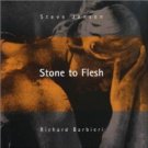 steve jansen and richard barbieri - stone to flesh CD 1995 medium used mint