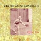 willard grant conspiracy : flying low CD 1998 slow river UK used mint