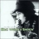 waterboys - live adventures of the waterboys CD 2-discs 1998 pilot used mint waterboys - live adventures of the waterboys CD 2-discs 1998 pilot used mint