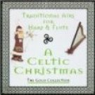 boys of the isle - traditional airs for harp & flute a celtic christmas CD fine tune new