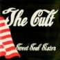 the cult - sweet soul sister CD 2-discs in double mini jacket 1990 beggars banquet UK 6 tracks mint