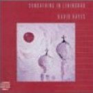 david hayes - sunbathing in leningrad CD 1988 gold castle used mint