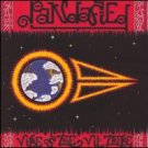 pandafied - vibe of vil tribe CD 2004 punami used mint