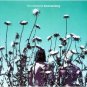creatures - boomerang CD 1989 geffen used mint