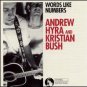 andrew hyra and kristian bush - words like numbers CD 1993 sister ruby used mint