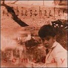 robbie schaefer - someday CD 1991 14 tracks used mint