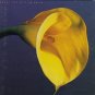 swans - burning world CD 1989uni MCA used mint