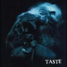 margot smith - taste CD 1998 immersion 14 tracks used mint