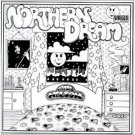 bill nelson - northern dream CD 1971 nelsongs 1999 smiled 12 tracks used mint bill nelson - northern dream CD 1971 nelsongs 1999 smiled 12 tracks used mint
