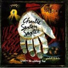 charlie sexton sextet - under the wishing tree CD 1995 MCA used mint barcode punched