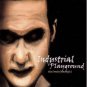 industrial playground - the lonely beautiful CD 2001 vash and vash used mint