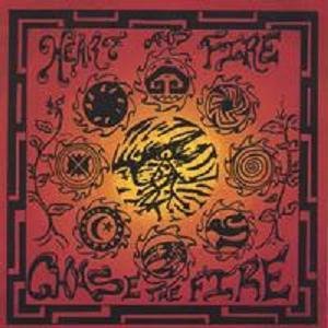 wayne naus - heart & fire - chase the fire CD 2005 nausome used mint