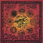 wayne naus - heart & fire - chase the fire CD 2005 nausome used mint