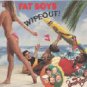 fat boys with beach boys - wipeout! CDV 1987 1988 polygram used mint