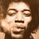 jimi hendrix electric gypsy - shapiro & glebbeek paperback st. martin's griffin 1995 mint