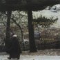 for squirrels - plymouth CD 1994 Y&T music 5 tracks used mint