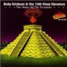 roky erickson & the 13th floor elevators - magic of pyramid Cd 1991 collectables used mint roky erickson & the 13th floor elevators - magic of pyramid Cd 1991 collectables used mint