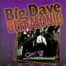 big dave and the ultrasonics - love & money CD 1993 schoolkids 14 tracks used mint