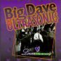big dave and the ultrasonics - love & money CD 1993 schoolkids 14 tracks used mint