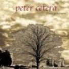 peter cetera - another perfect world CD 2001 navarre used mint
