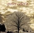 peter cetera - another perfect world CD 2001 navarre used mint