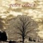 peter cetera - another perfect world CD 2001 navarre used mint