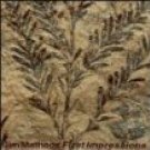 jim matheos - first impressions CD 1993 metal blade 9 tracks used mint