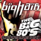 VH1 - big hair the big 80's - various artists CD 1999 rhino viacom 16 tracks used mint