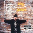 liroy - alboom CD 1995BMG ariola poland made in germany 16 tracks used mint