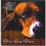 andy owens project - one eye open CD 1996 real records 10 tracks used mint