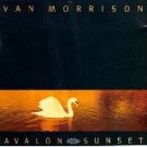 van morrison - avalon sunset CD 1989 caledonia polydor 10 tracks used mint