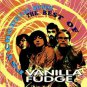 psychedelic sundae - the best of vanilla fudge CD 1993 rhino 18 tracks used mint