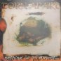 torn apart - nothing is permanent ... CD 1997 beach 9 tracks used mint