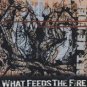 what feeds the fire - set me free CD 2000 demo stillborn 5 tracks used mint