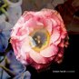 kristin hersh - crooked CD 2010 throwing music 10 tracks used like new