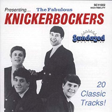 knickerbockers - fabulous knickerbockers CD 1989 sundazed 20 tracks used mint