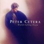 peter cetera - world falling down CD 1992 warner 10 tracks used mint
