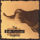 kerry fladland - kerry fladland surprise CD 1995 purple pond kerry me music 7 tracks used mint kerry fladland - kerry fladland surprise CD 1995 purple pond kerry me music 7 tracks used mint