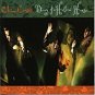 china crisis - diary of a hollow horse CD 1989 virgin A&M 11 tracks used mint