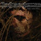 classic struggle - feel like hell CD 2005 ironclad metal blade 12 tracks used mint classic struggle - feel like hell CD 2005 ironclad metal blade 12 tracks used mint