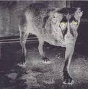 alice in chains - interview disc CD 1996 columbia used mint