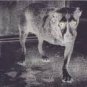 alice in chains - interview disc CD 1996 columbia used mint