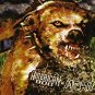 american dog - mean CD 2009 colonial canine used mint