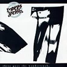 mary's danish - there goes the wondertruck CD 1989 chameleon 12 tracks used like new